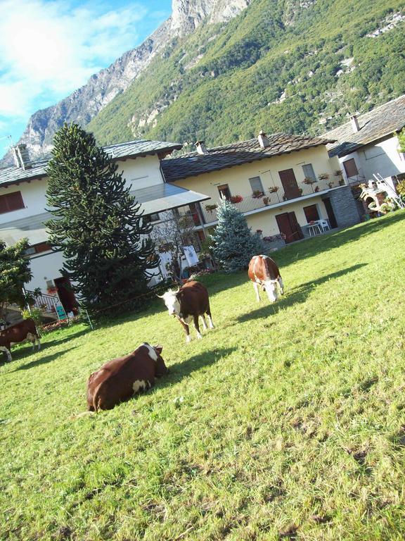 Agriturismo La Grange ปอนต์-เซนต์-มาร์ติน ภายนอก รูปภาพ